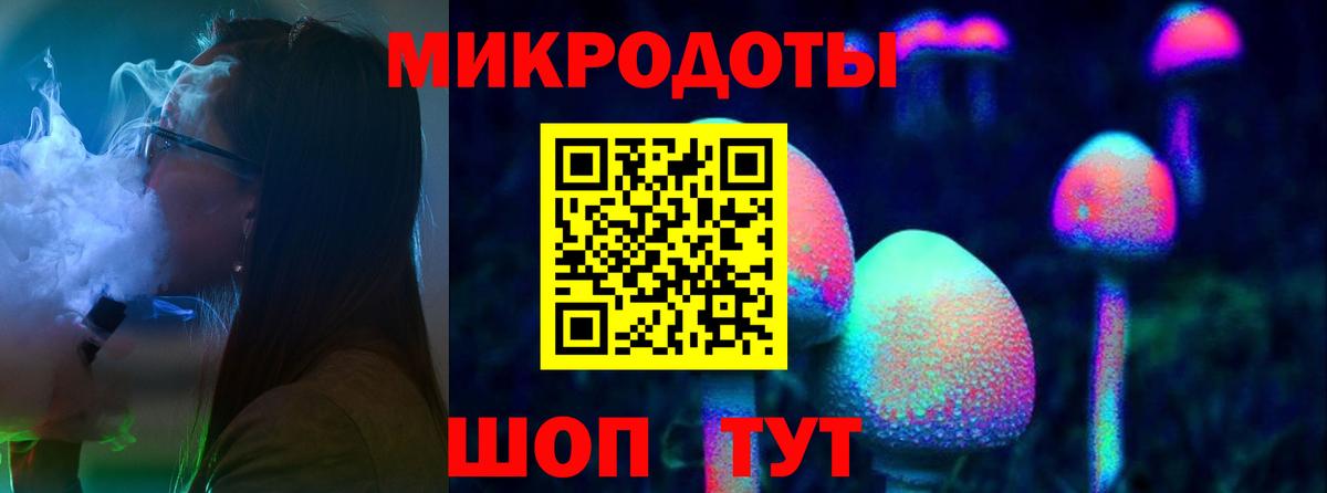 Псилоцибиновые грибы Psilocybine cubensis Чебаркуль